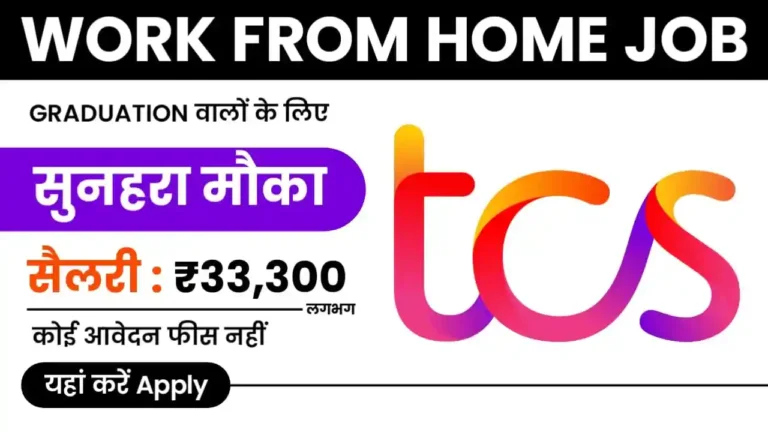 TCS Work From Home Job