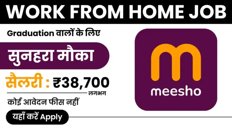 Meesho Work From Home Job