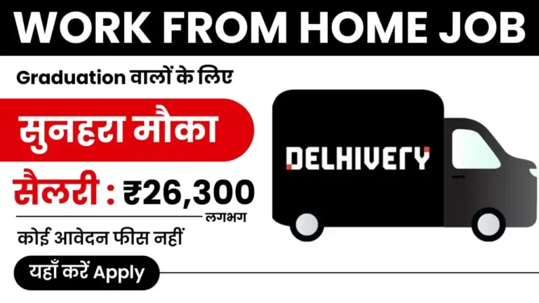 Delhivery Work From Home Job