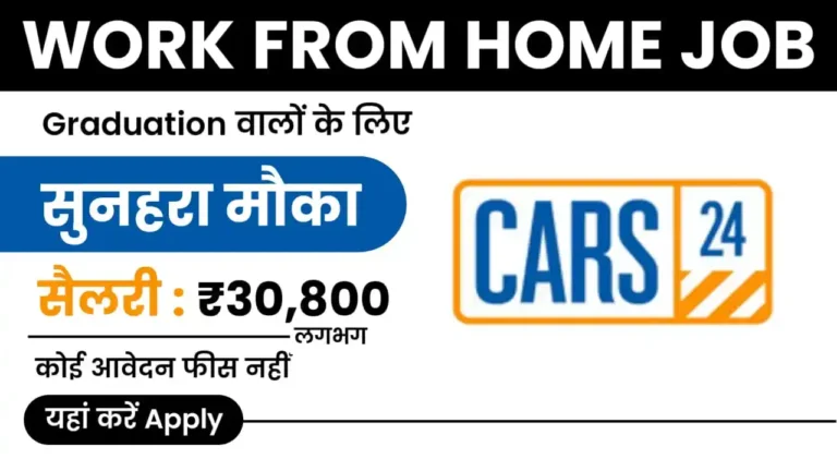 Cars24 Work From Home Job