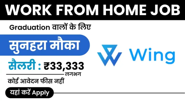 Wing Assistant Work from Home Job