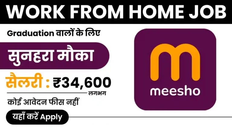 Meesho Work From Home Job 2024