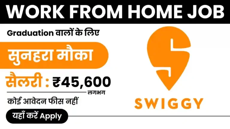 Swiggy Work From Home Job 2024