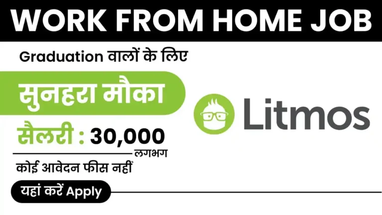 Litmos Work from Home Job