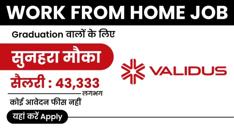 Validus Work from Home Job