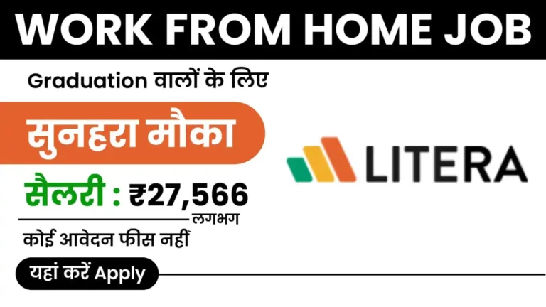 Litera Work from Home Job