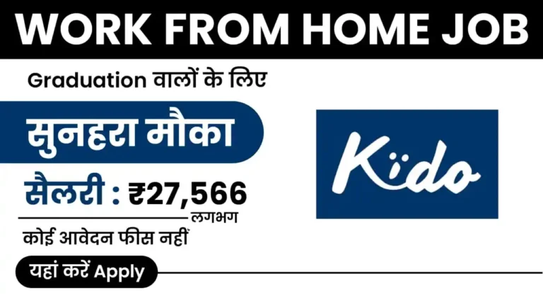 Kido Work from Home Job