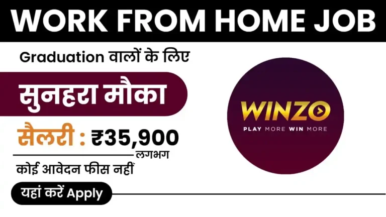 Winzo Work From Home Job