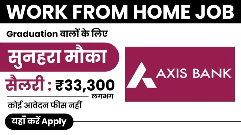 Axis Bank Work From Home Job