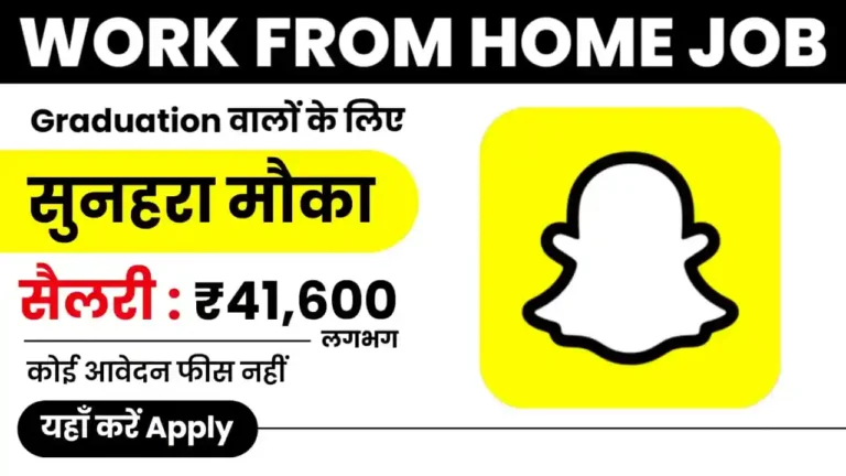 Snapchat Work From Home Job