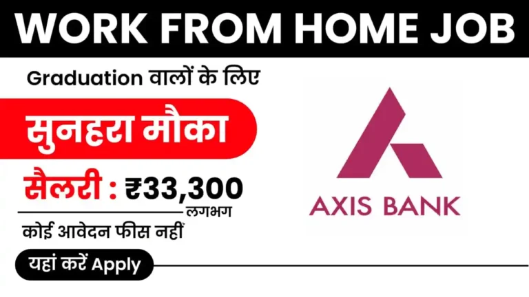 Axis Bank Work From Home Job