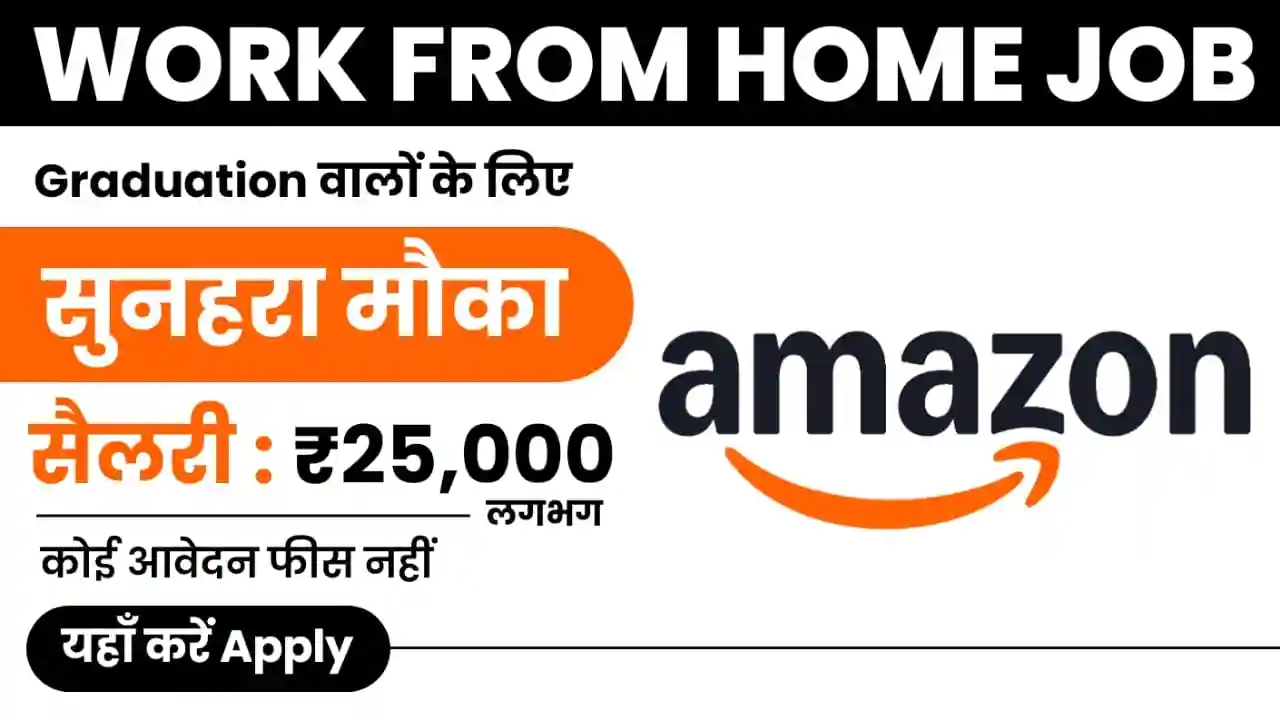 Amazon Work From Home Job 2025